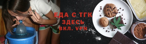 индика Покачи