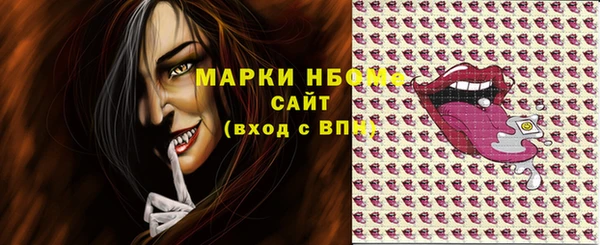 индика Покачи