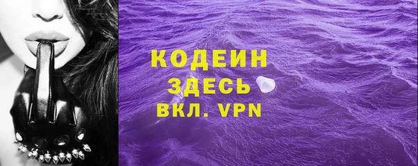 прущие грибы Алзамай