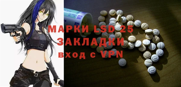 индика Покачи