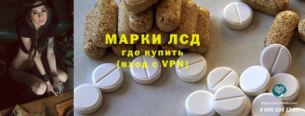 прущие грибы Алзамай