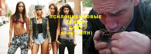 прущие грибы Алзамай