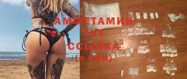 прущие грибы Алзамай